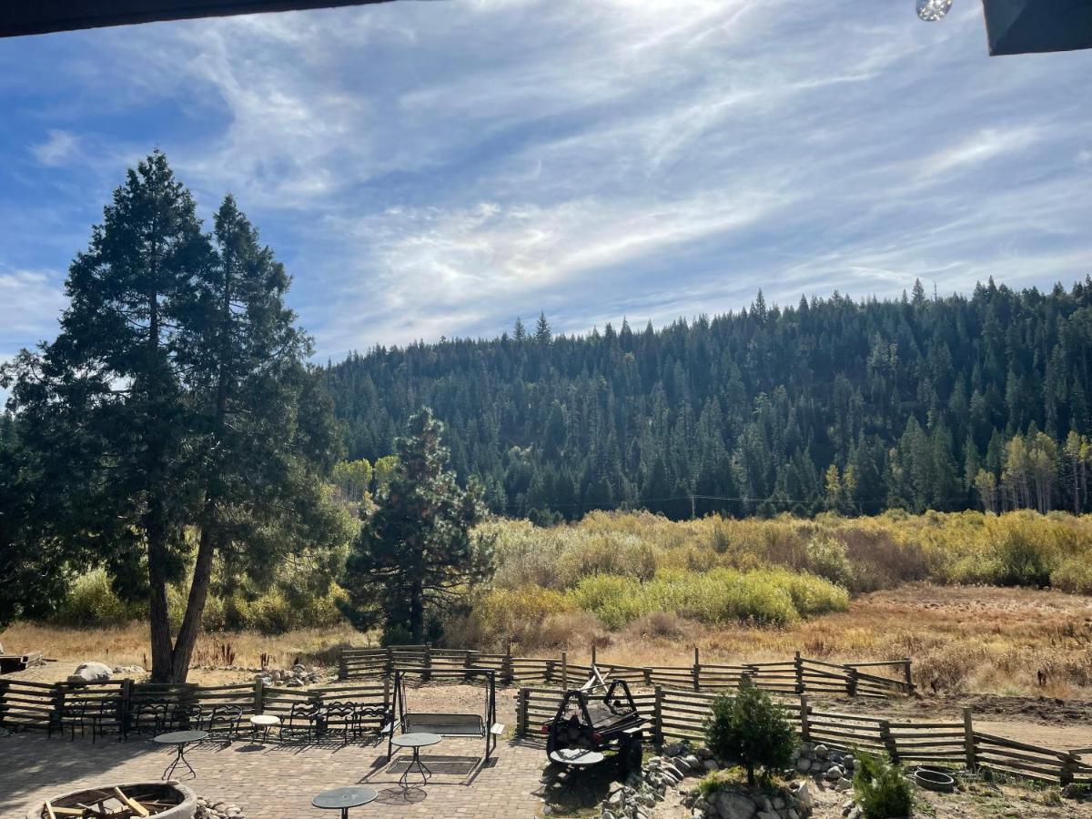 Sierra Woods